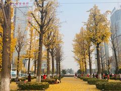 -两江幸福广场