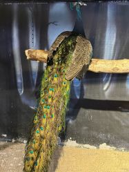 -酷嗒动物文化乐园(cutezoo西溪乐天城店)