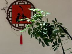 -富士面坊(龙旺名城店)