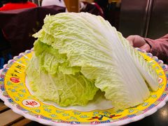 -芦月轩羊蝎子(北蜂窝店)