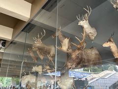 -陕西自然博物馆