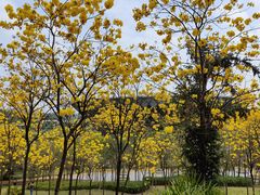 -中国移动南方基地