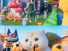 -厦门方特梦幻王国