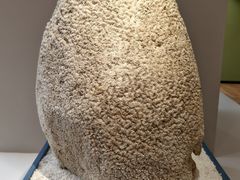 -中国湿地博物馆