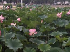 -哈尔滨师范大学(松北校区)