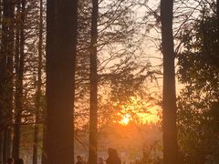 -艾溪湖湿地公园