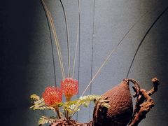 -觀芷隐轩