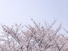 -堤角公园