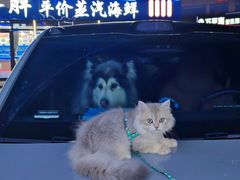 -日照大牌檔•小船海鲜(万平口店)