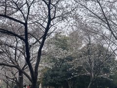 -堤角公园