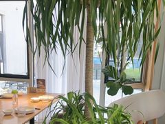 -荷恬·精致蔬食料理(星海店)