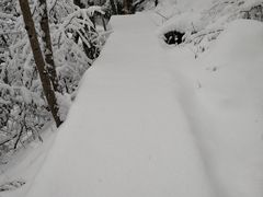 -神农架香溪源景区