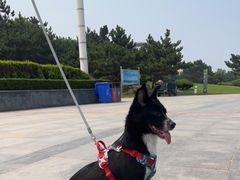 -日照灯塔风景区