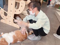 -飞行喵MR PILOT|猫舍·猫咖(静安大融城店)