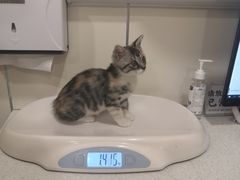 -萌兽医馆·犬猫专科·眼科中心·宠物医院(朝阳门分院)