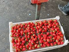 -东方鼎信农副产品交易中心