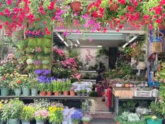 -溪岸路花鸟市场