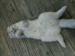 -赛百味SUBWAY(星摩尔店)