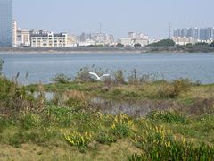 -立新湖公园