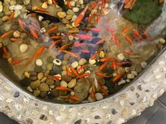-醉霖生态餐厅(交大店)