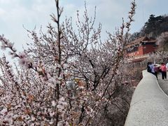 -天津盘山风景名胜区
