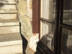 -梅黛奥拉修道院