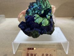 -安徽省地质博物馆