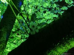 -上海港国际客运中心