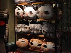 -猫咪博物馆(顶澳仔猫街店)