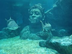 -暹罗海洋世界