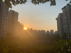 -龙头寺公园