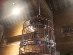 -正院大宅门烤鸭(首体店)