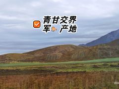 -扁都口生态休闲旅游区