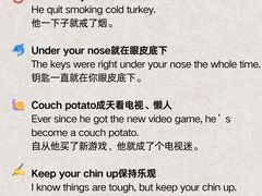 -I-Shine英语国际教育(大三林中心)