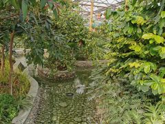 -南宫五洲植物乐园