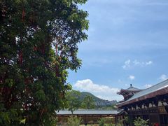 -莆田南少林寺