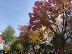 -东北大学(秦皇岛分校)