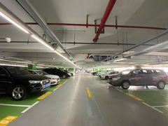 -上海浦东国际机场T1航站楼-P1停车场