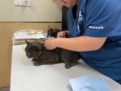 -康成宠物医院24H·CT·核磁共振