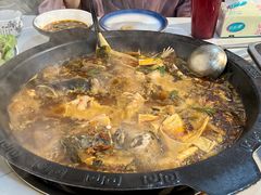 美蛙-大江美蛙鱼火锅(都江堰店)
