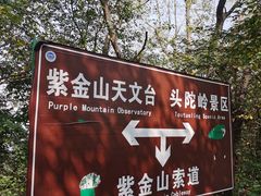 -紫金山山顶公园