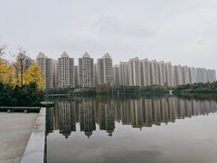 -成都南湖公园