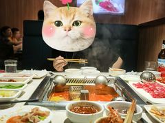 -海底捞火锅(万丰桥店)