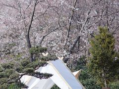 -光福景区
