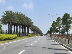 -江门古劳水乡旅游区