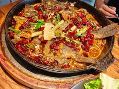 -老板恋上鱼(高新万达店)