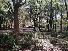 -安飞驰驾校·学车连锁(金高店)