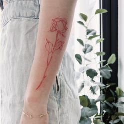 -明星刺青·洗纹身