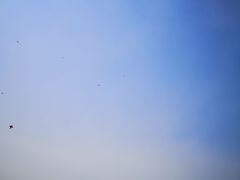 -钟山体育运动公园