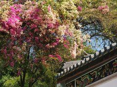 -深圳国际园林花卉博览园